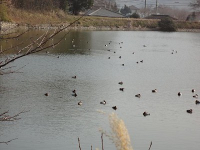 こんな光景あまり見られません