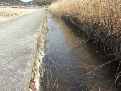 氷の水面 (1)_R