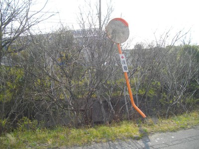 茂平のカーブミラー台が浮き上がっています