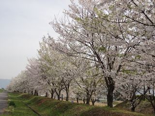 どこまでも続いているようで見飽きません