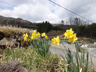 のどかな山間の風景は魅力的です。